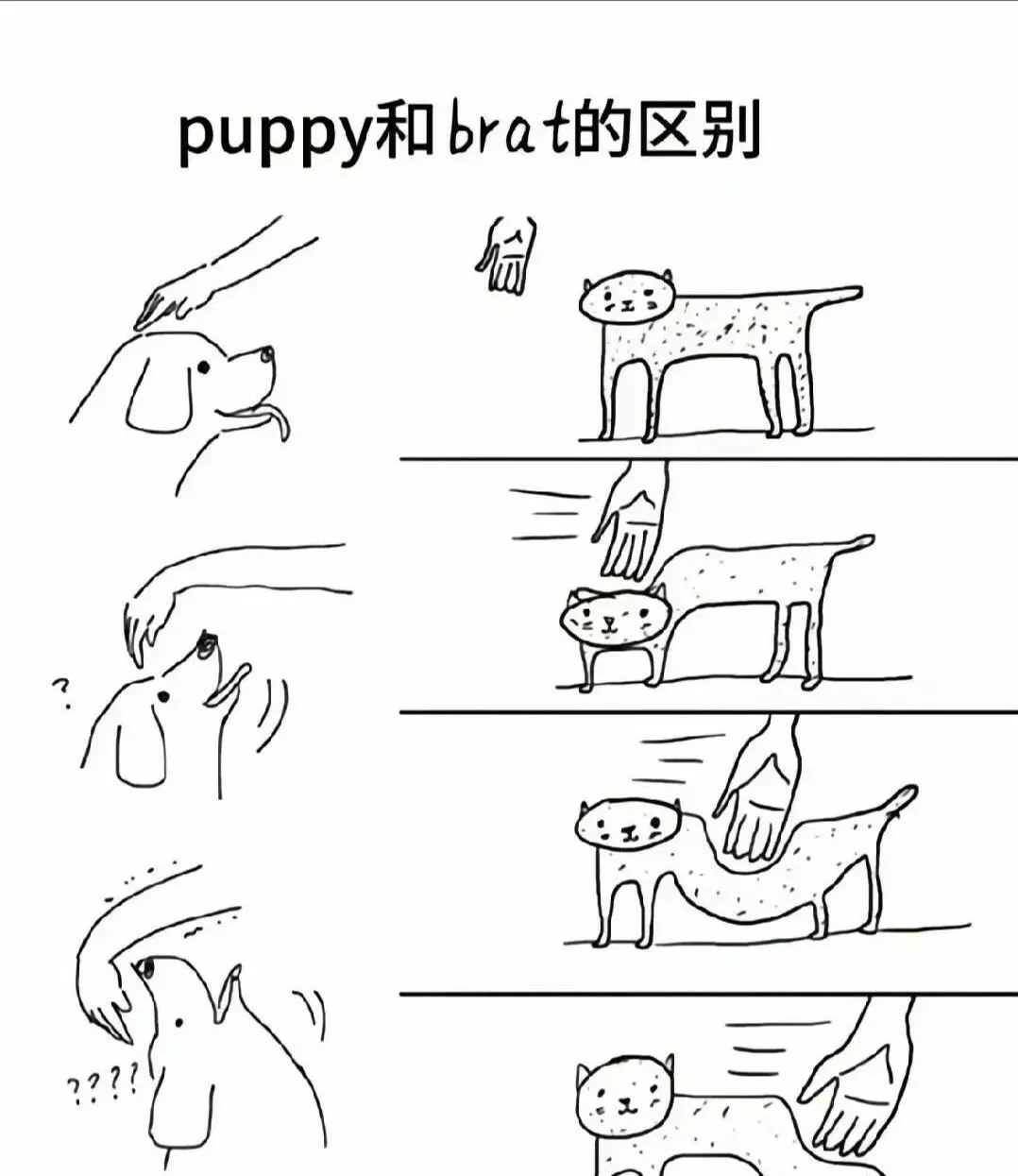 西檬之家BDSM入圈新手指南 一