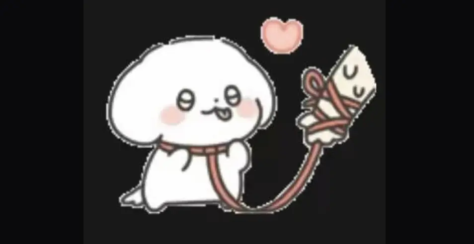 西檬之家k8是什么?字母圈新人必读 一