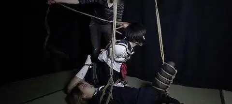 西檬之家什么是s倾向? 一