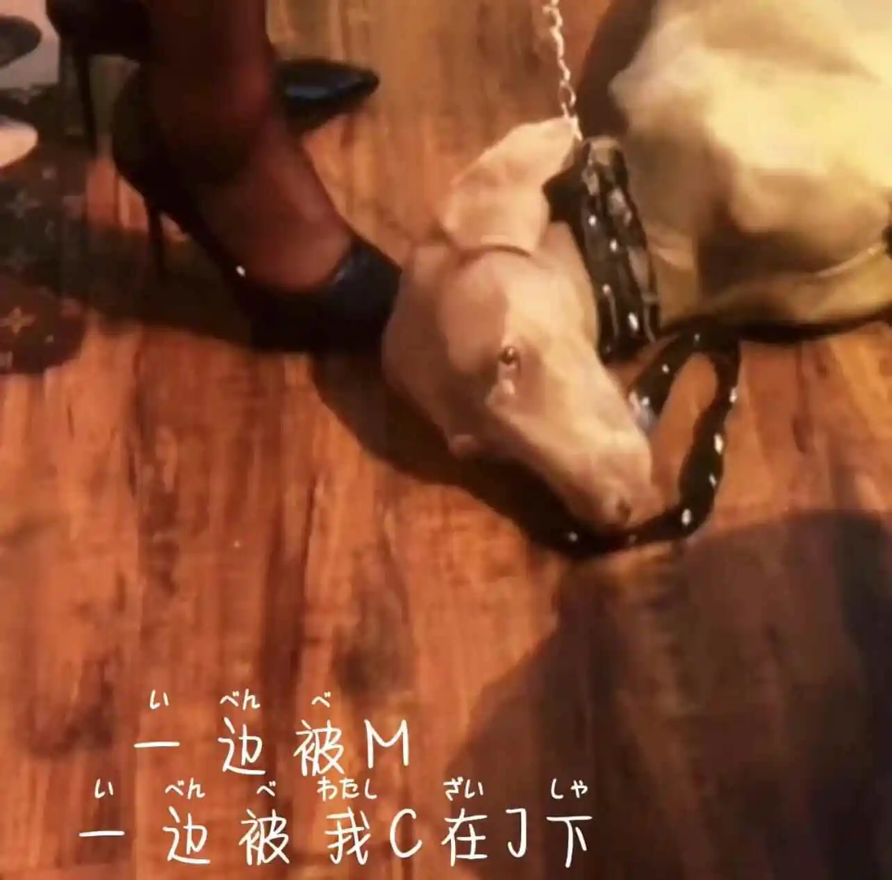 西檬之家什么是s倾向? 一