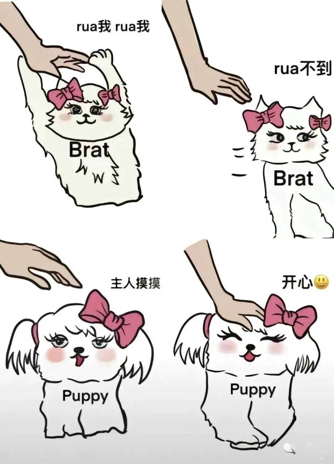 西檬之家k9犬系入门指南 一