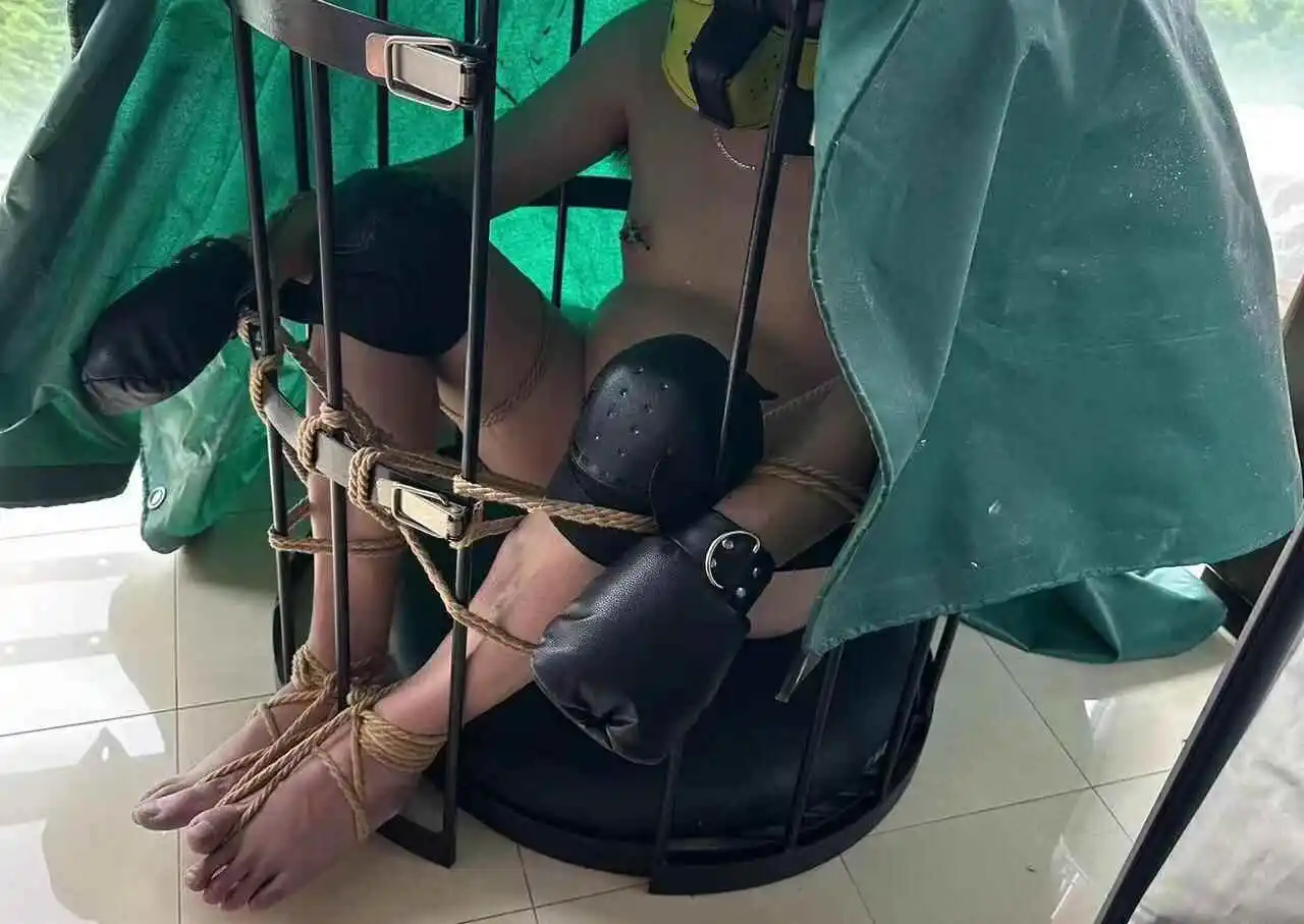西檬之家k9犬系是什么?你的属性揭秘 一
