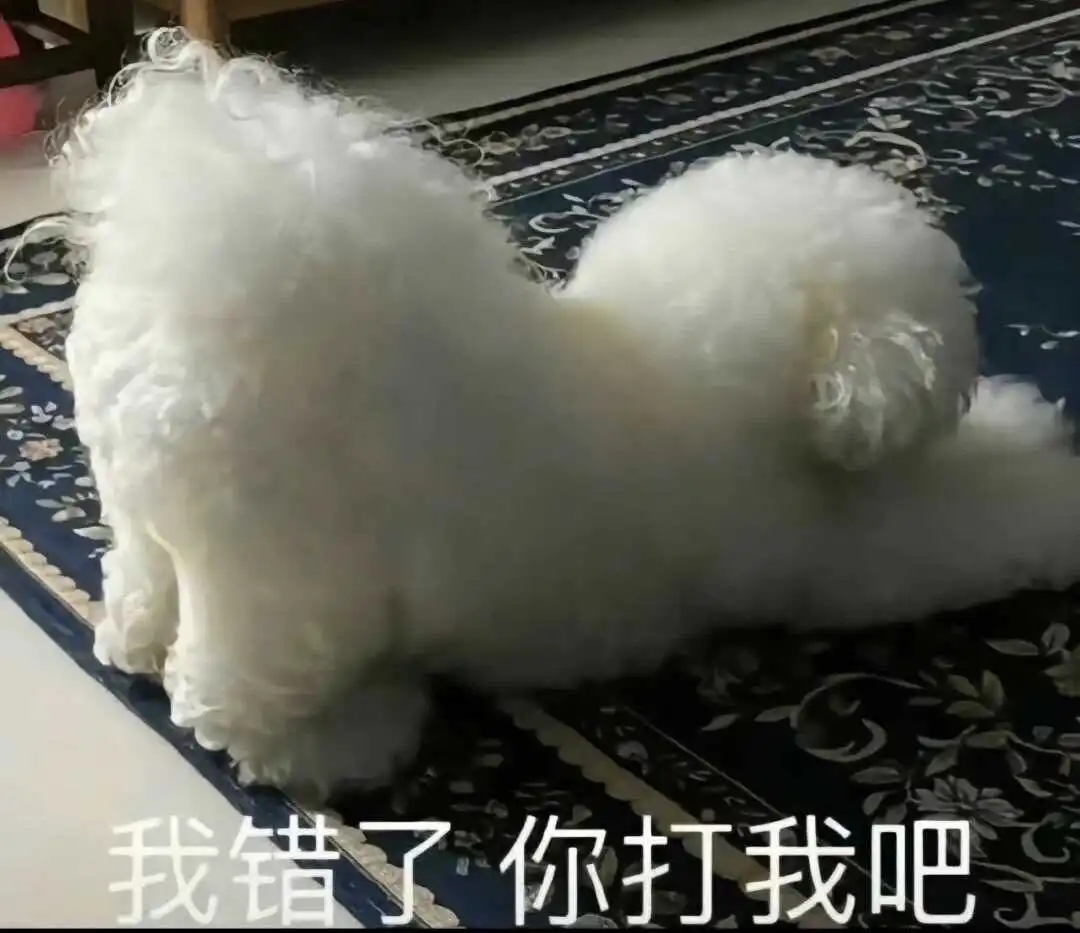 西檬之家斯慕圈新人入圈 一