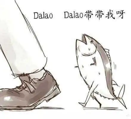 西檬之家字母圈k9犬系是什么? 一