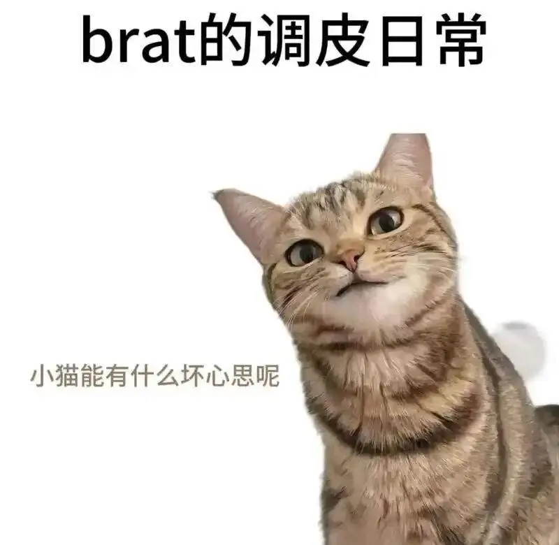 西檬之家字母圈aftercare是什么?新手必知 一