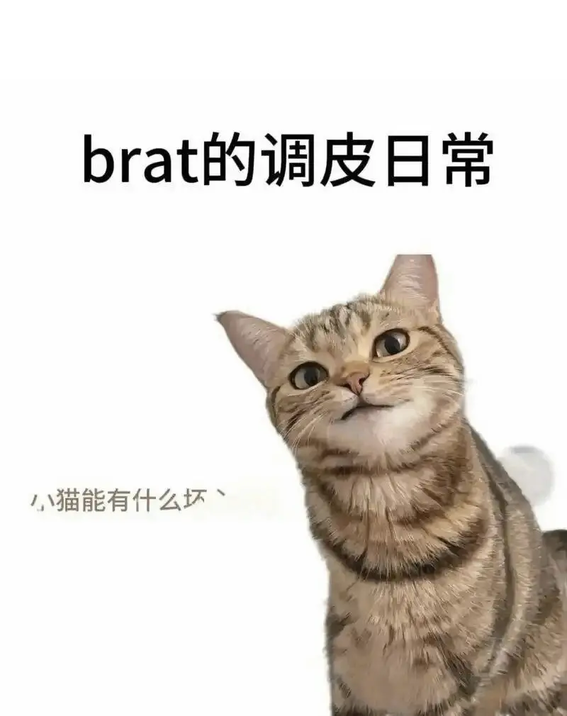 西檬之家你是S属性吗?字母圈新人自查指南 一