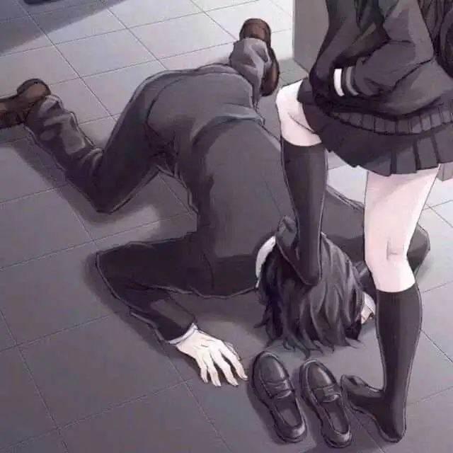 西檬之家字母圈入圈新手必看指南 一