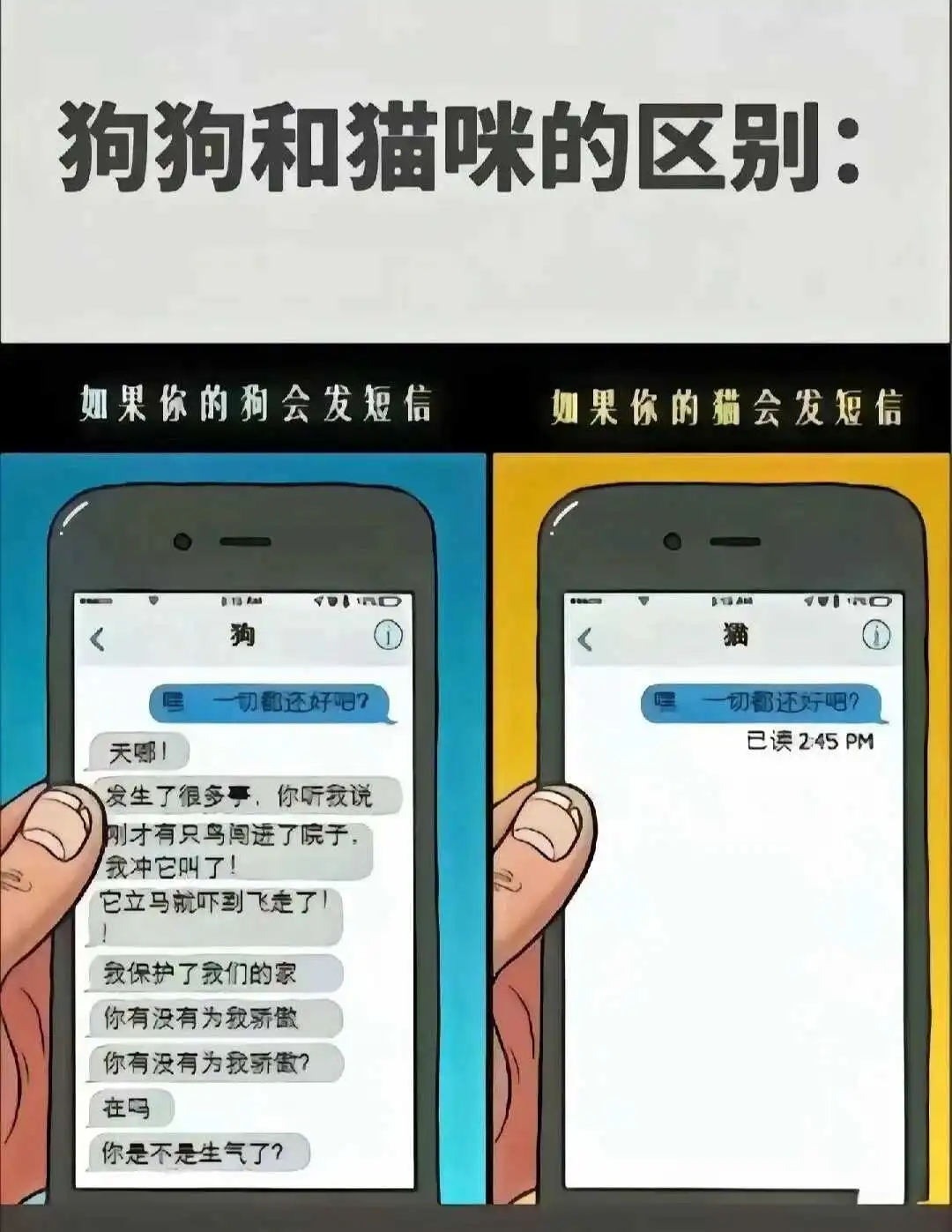 西檬之家k9是什么?你是猫奴还是犬系? 一